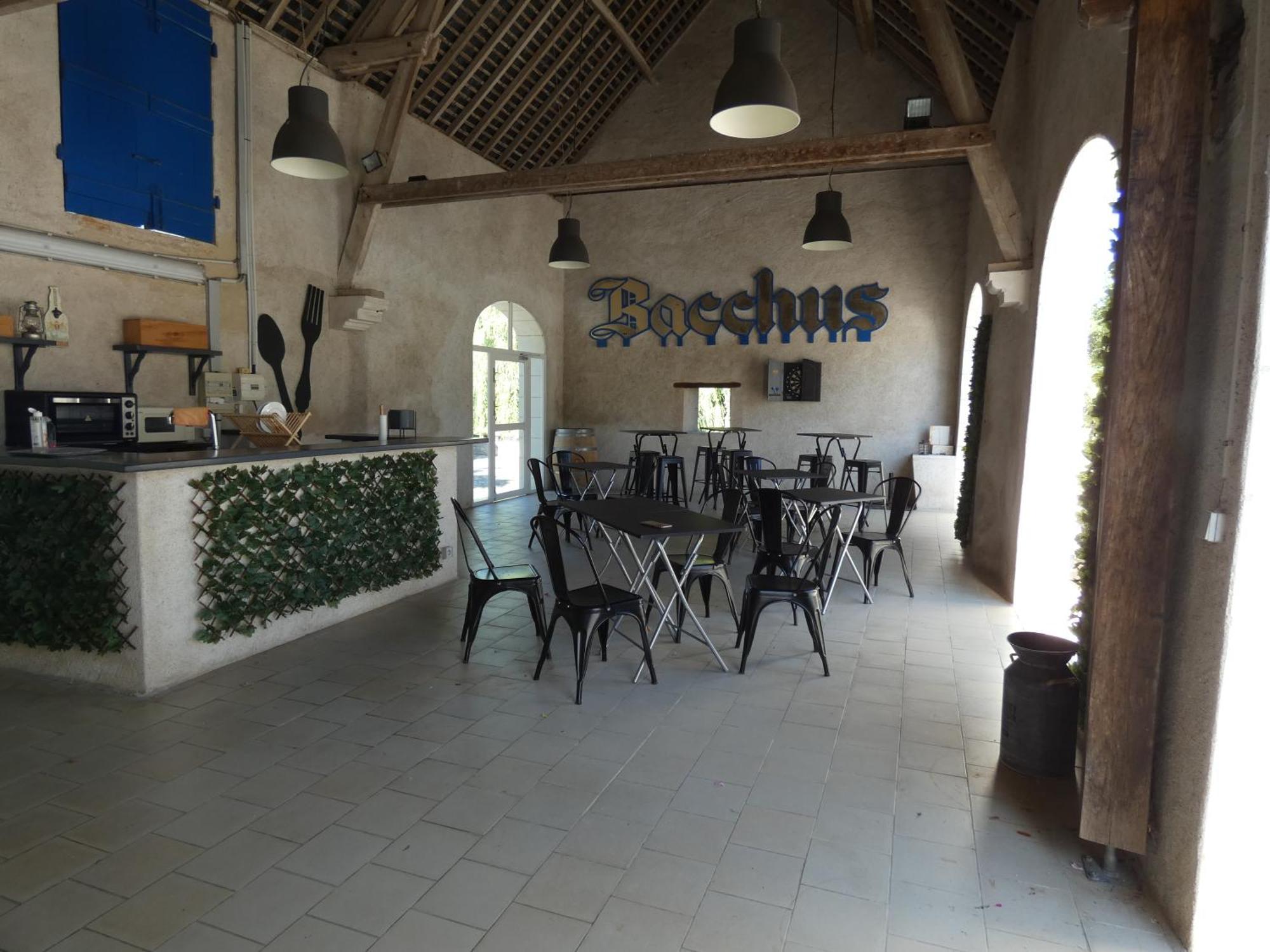 Moulin De Bacchus - Chateaux De La Loire Chancay Luaran gambar