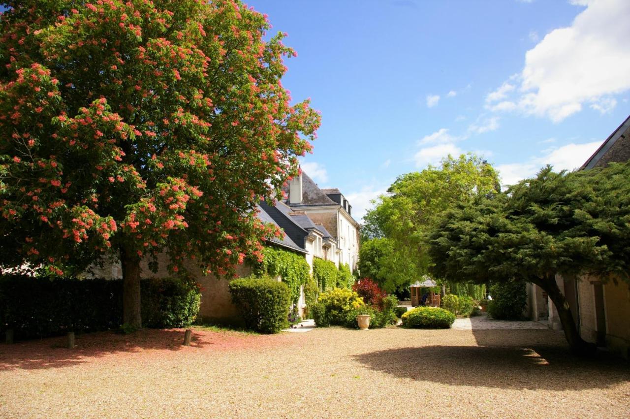 Moulin De Bacchus - Chateaux De La Loire Chancay Luaran gambar